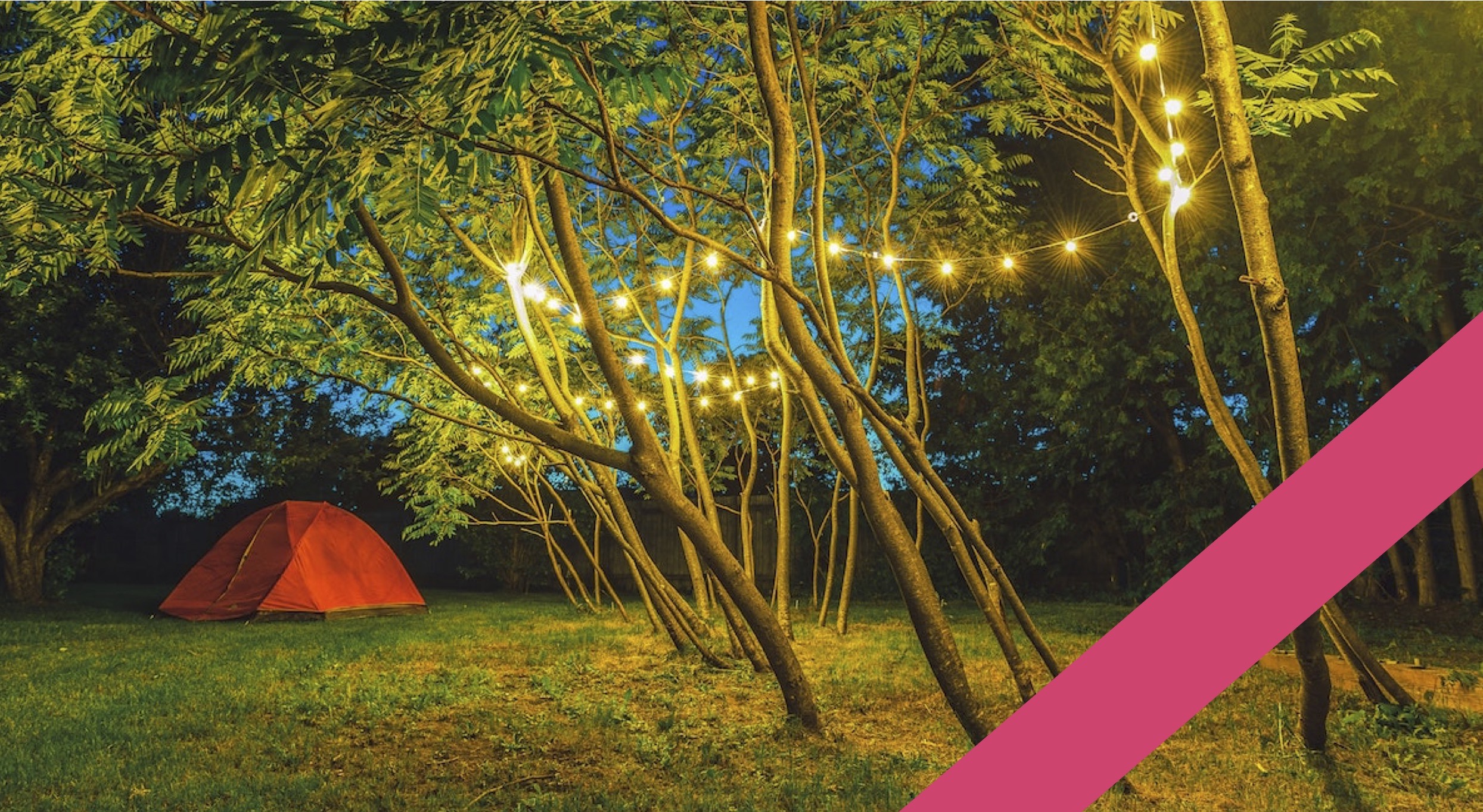 tent and stringed lights hung in tree